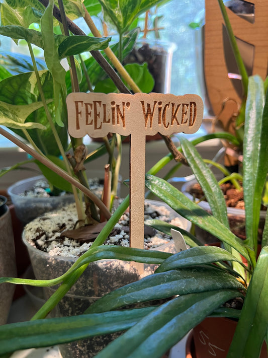 Feelin' Wicked - Wooden Plant Stake