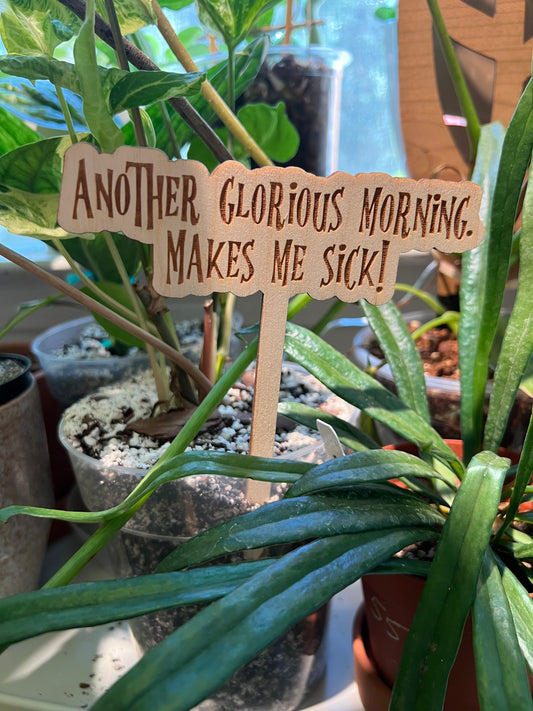 Hocus Pocus - Wooden Plant Stakes