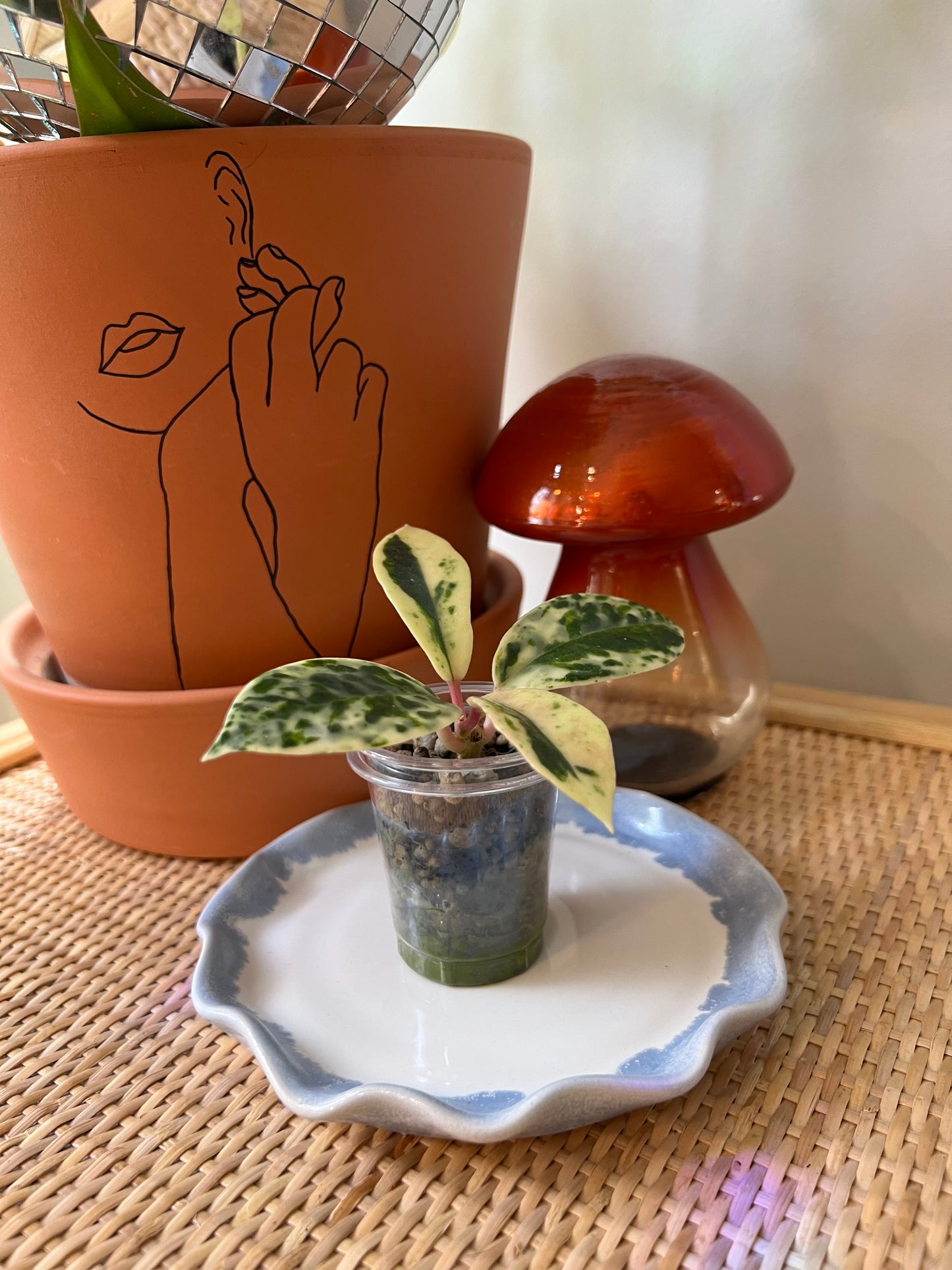 Ceramic Plant Saucers