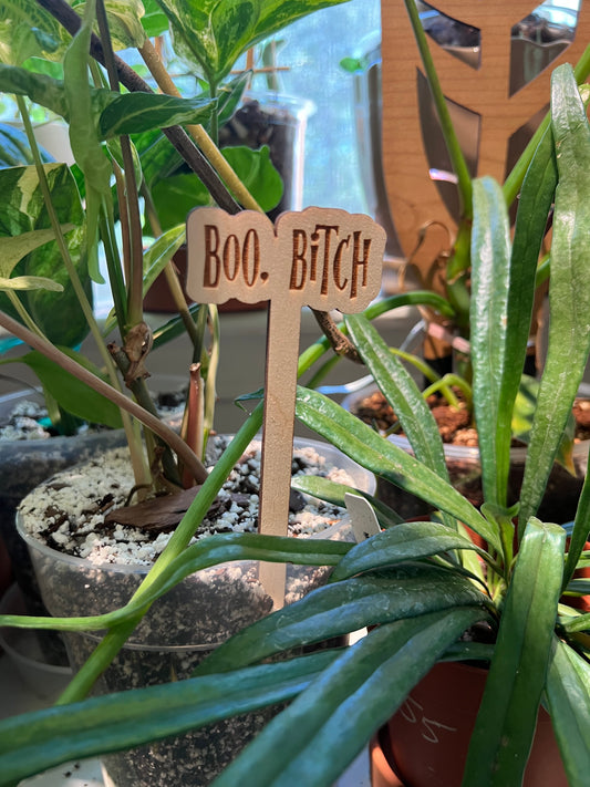 Boo, Bitch - Wooden Plant Stake