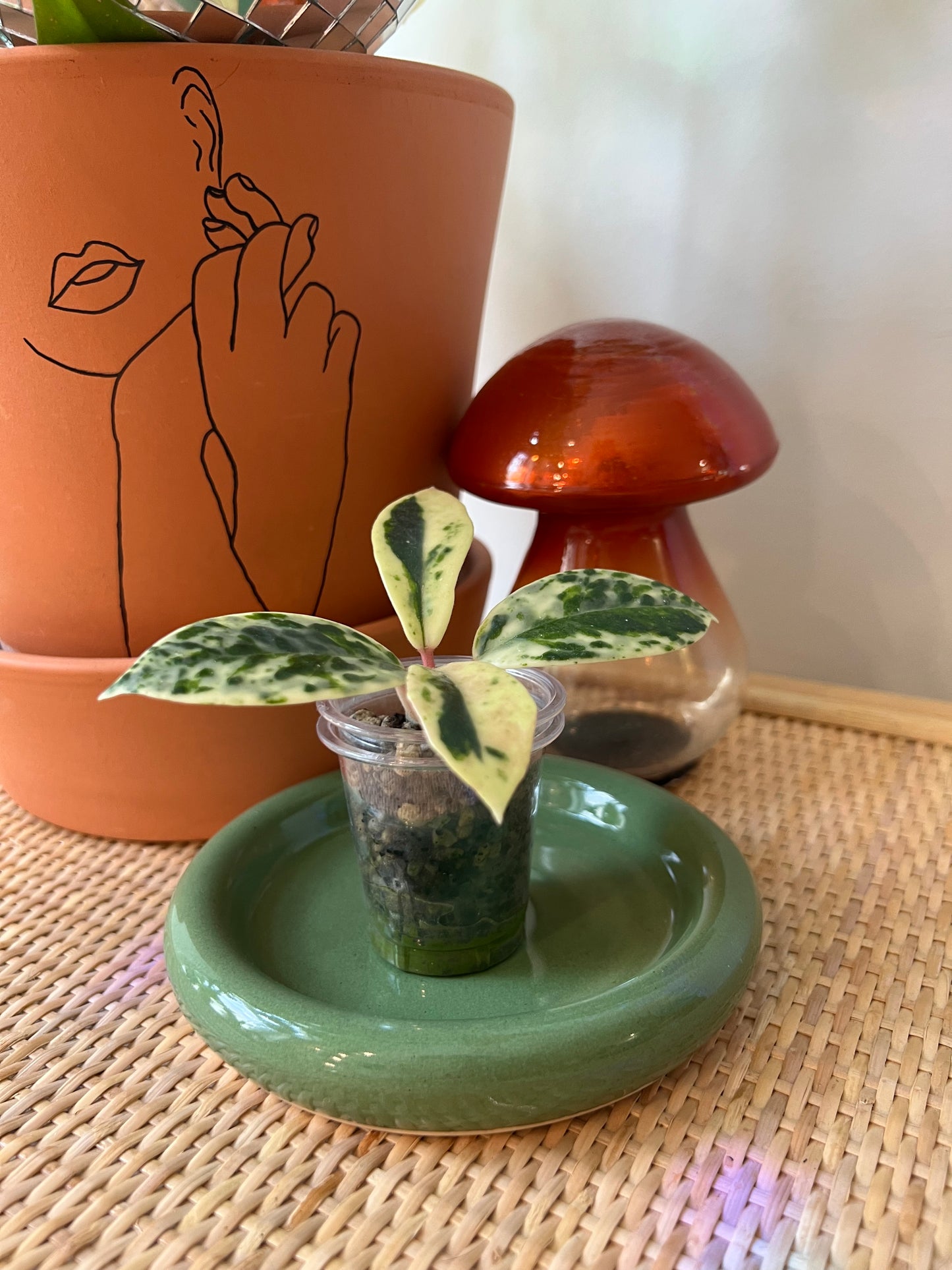 Ceramic Plant Saucers