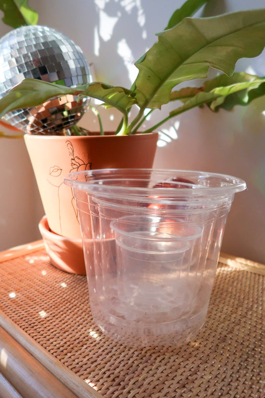 Clear Pots