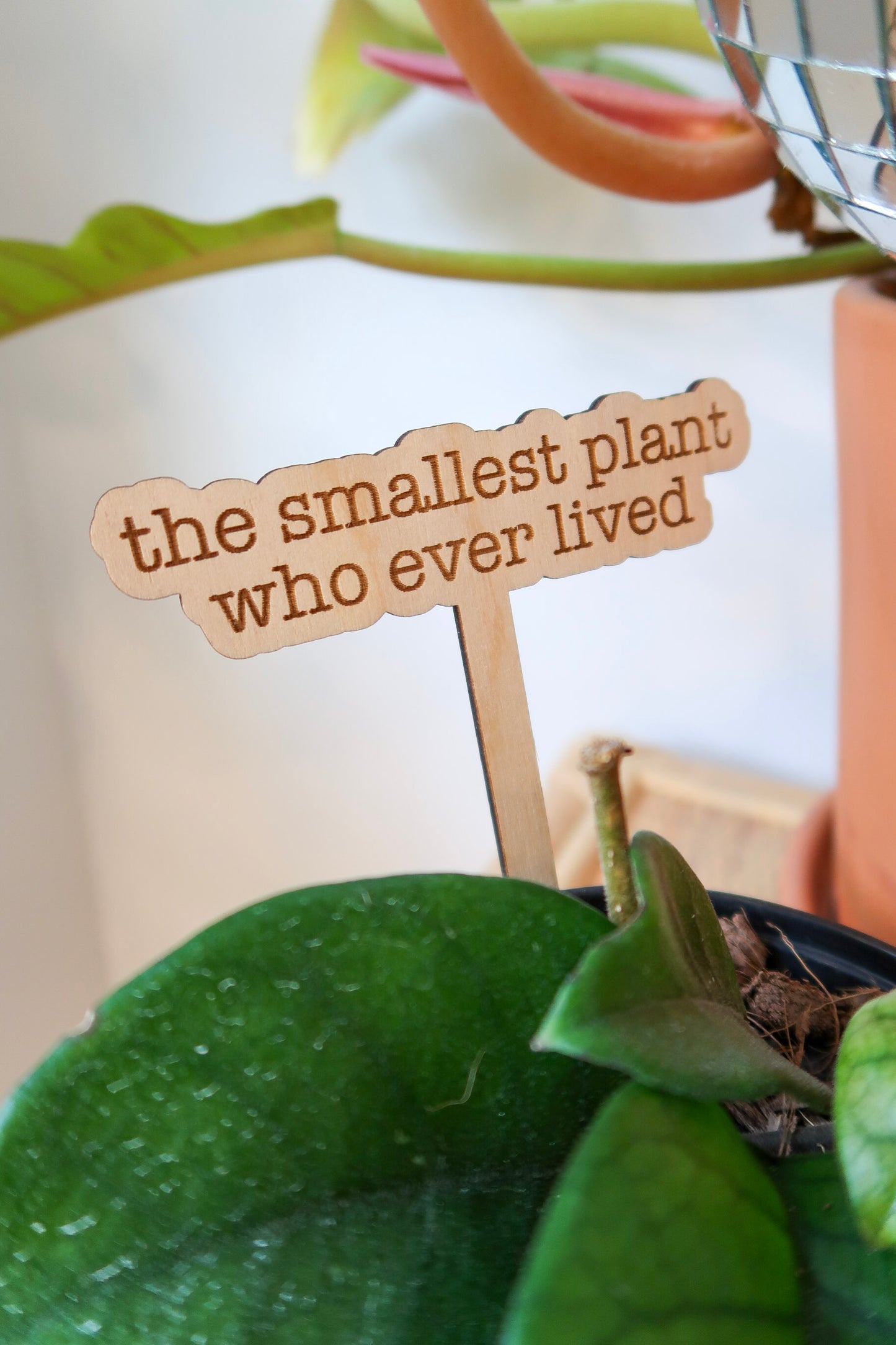 The Smallest Plant Who Ever Lived Marker