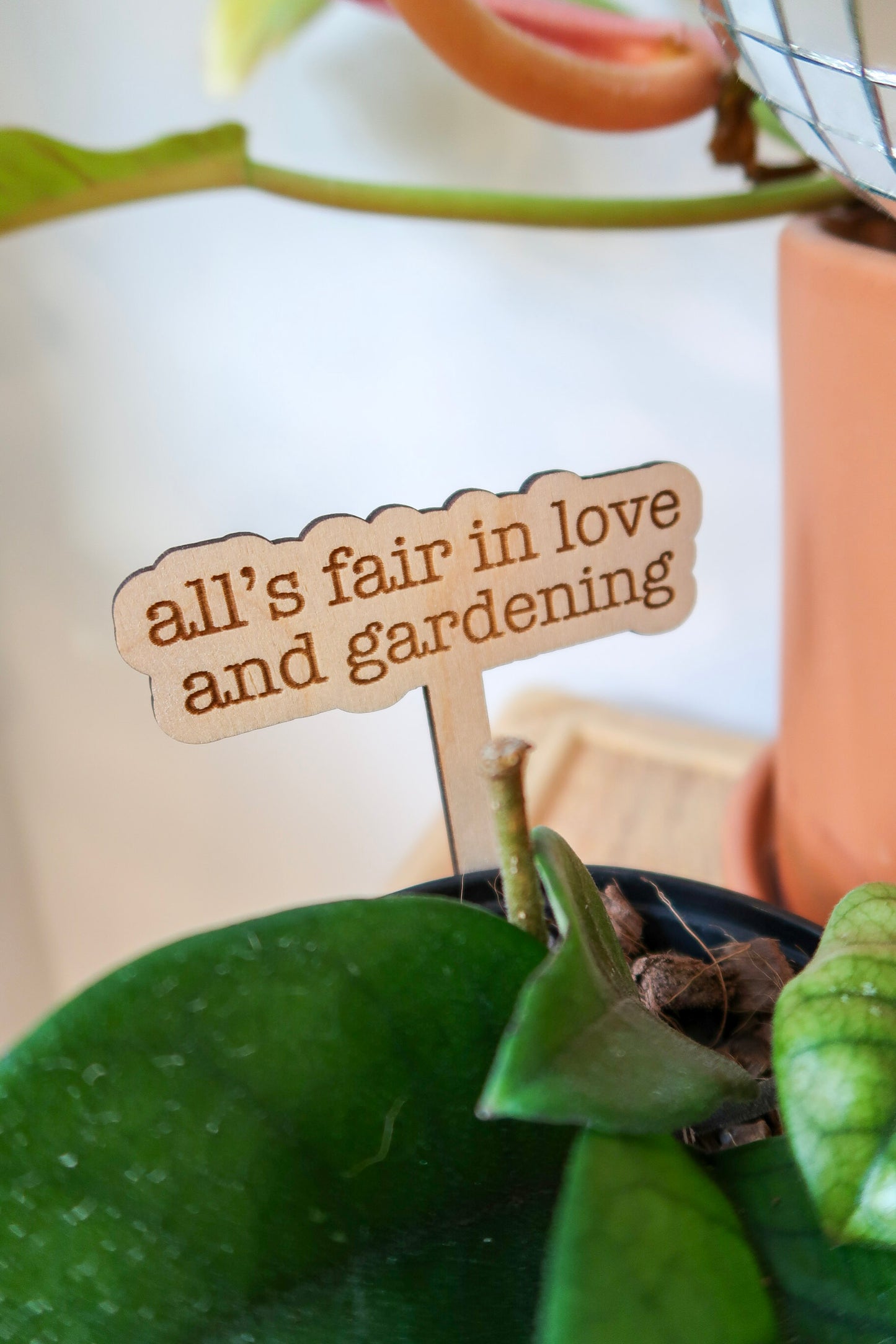 All's Fair in Love and Gardening