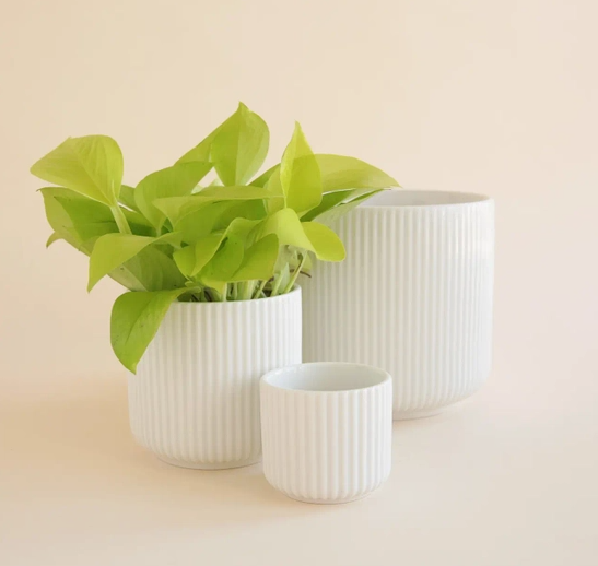 Lucy Pot | White | 4.5 inch