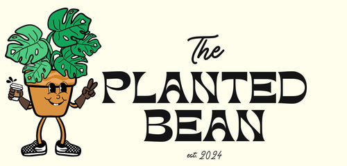 The Planted Bean