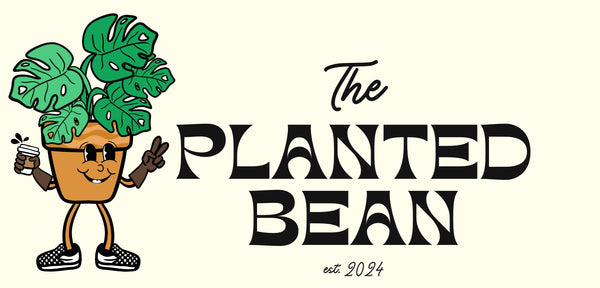 The Planted Bean