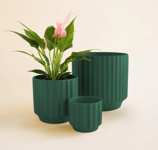 Monroe Planter - Rainforest | 6.75 inch